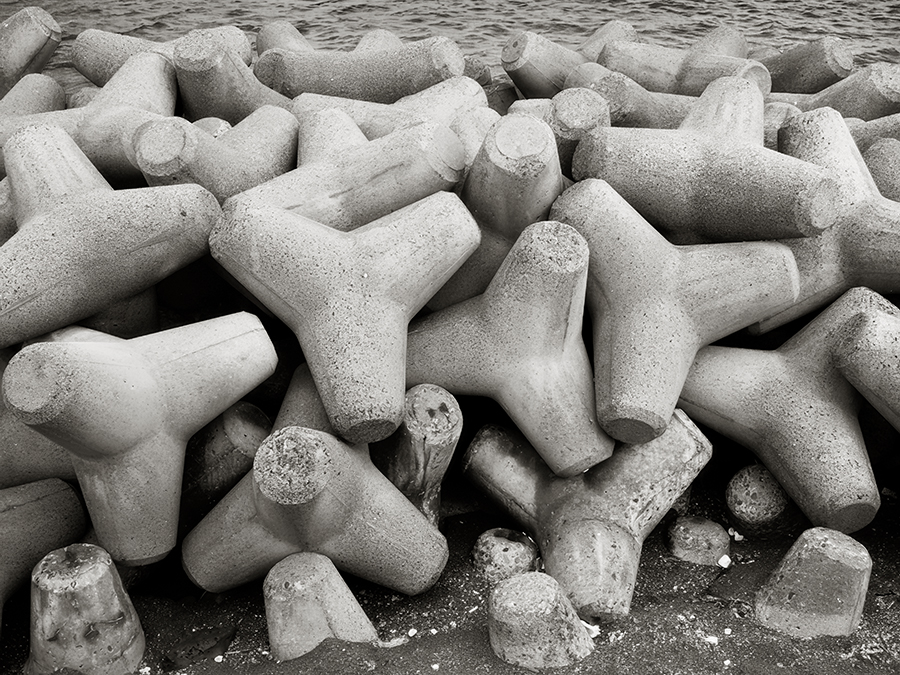 Tetrapods