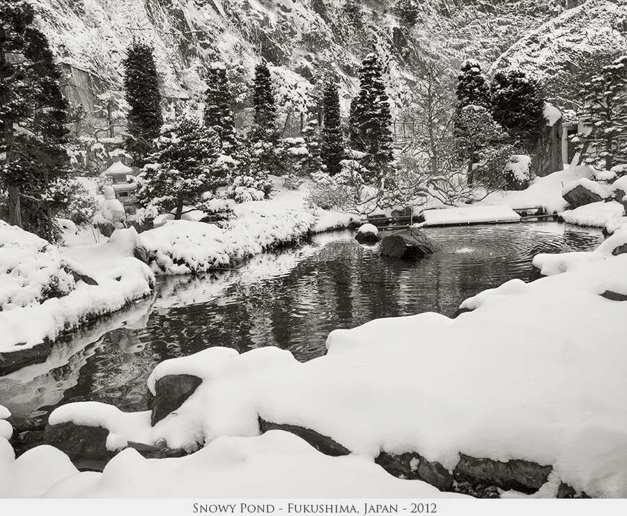 Snowy Pond
