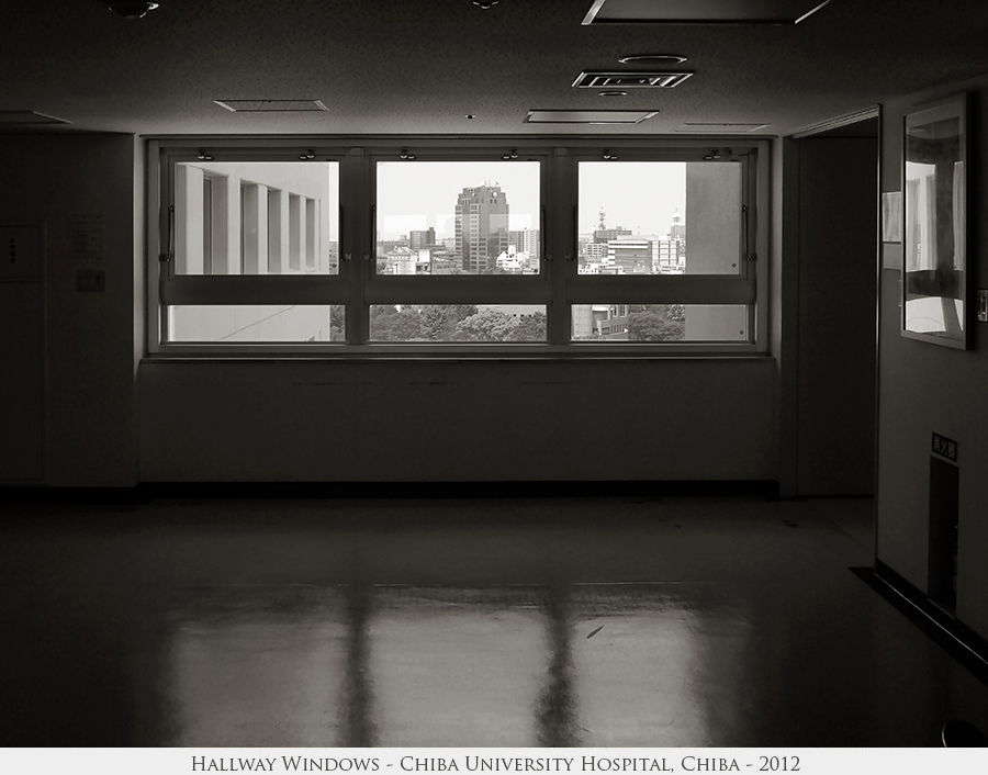 Hallway Windows