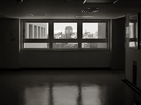 Hallway Windows