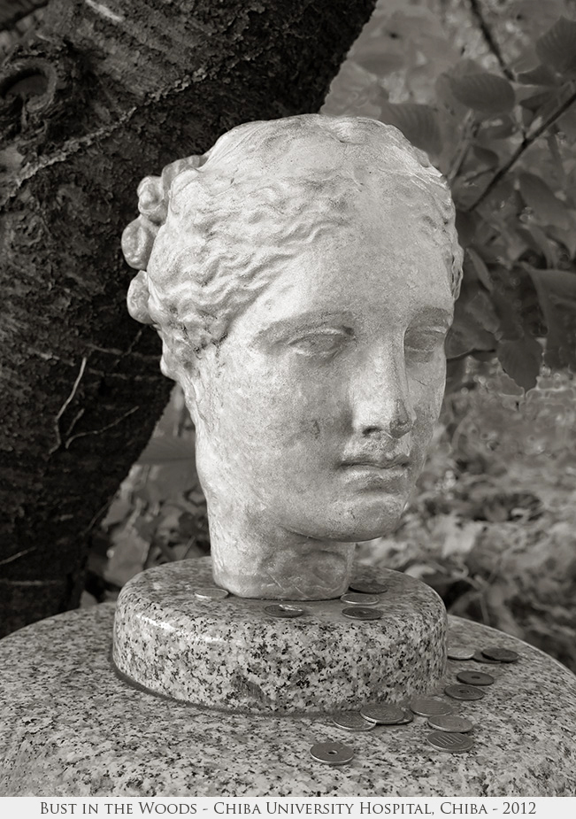 Bust in the Woods