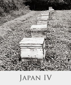 Japan IV